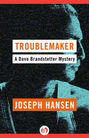 [Dave Brandstetter 03] • Troublemaker